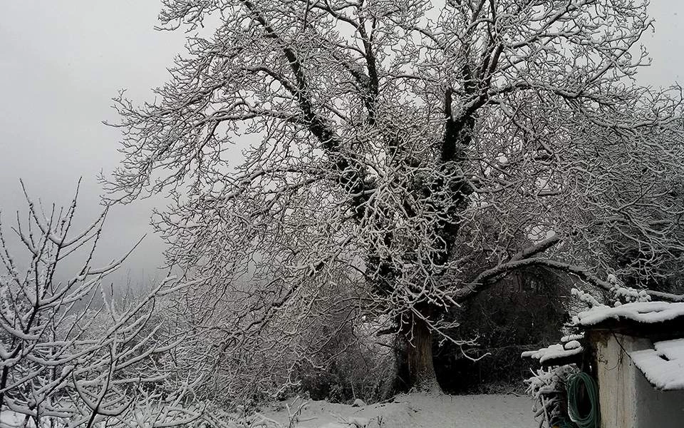 Η «Σοφία» βάζει τη χώρα στην κατάψυξη – Πότε θα χιονίσει στην Αττική